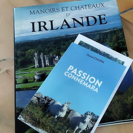 Maison De Campagne Au Coeur D'Un Elevage De Poneys Connemara Le Landreau Extérieur photo